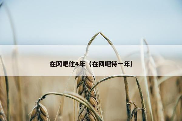 在网吧住4年（在网吧待一年）