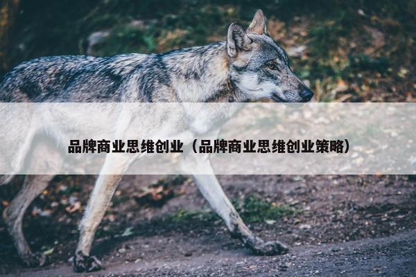 品牌商业思维创业（品牌商业思维创业策略）