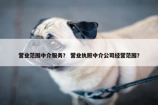 营业范围中介服务？ 营业执照中介公司经营范围？