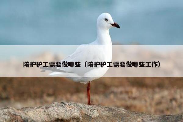 陪护护工需要做哪些（陪护护工需要做哪些工作）