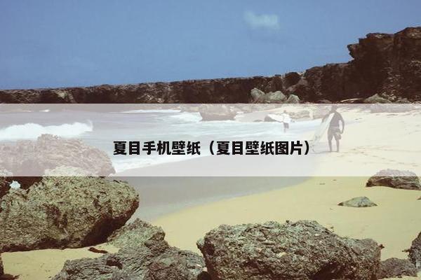 夏目手机壁纸（夏目壁纸图片）