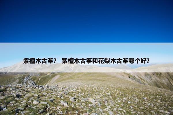 紫檀木古筝？ 紫檀木古筝和花梨木古筝哪个好？