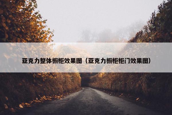亚克力整体橱柜效果图（亚克力橱柜柜门效果图）