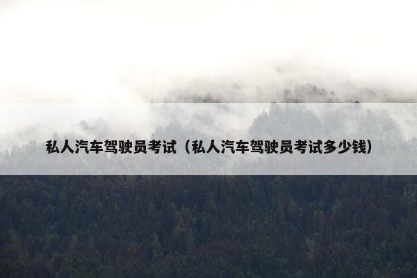 私人汽车驾驶员考试（私人汽车驾驶员考试多少钱）