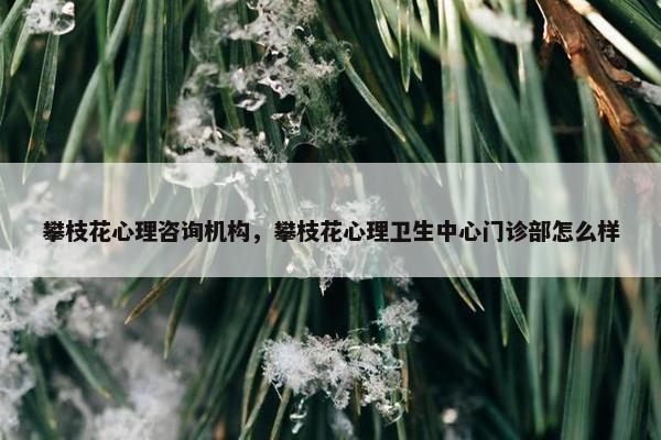 攀枝花心理咨询机构，攀枝花心理卫生中心门诊部怎么样