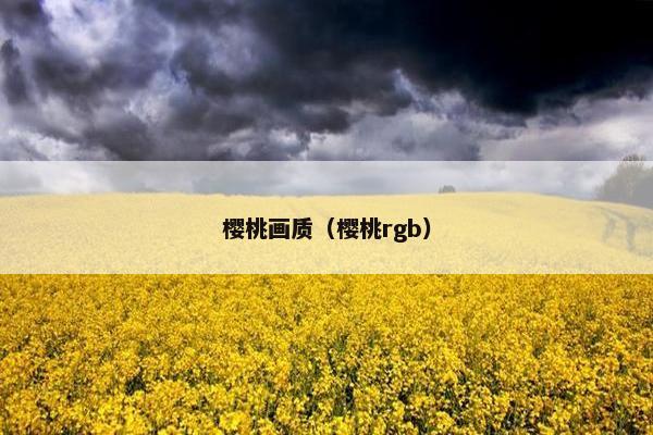樱桃画质（樱桃rgb）