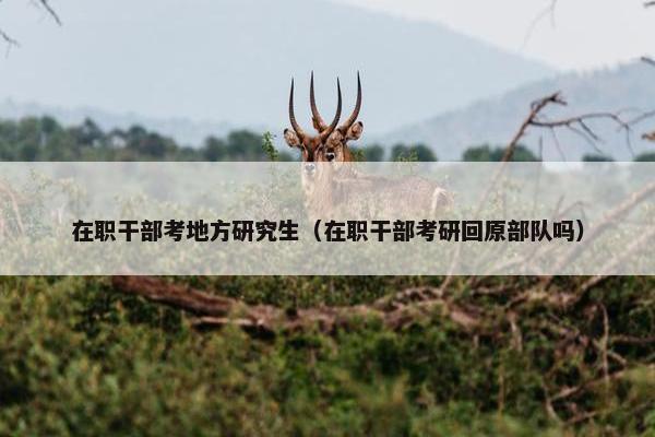在职干部考地方研究生（在职干部考研回原部队吗）
