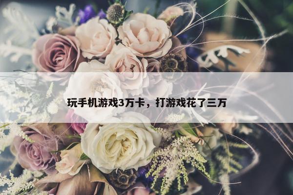 玩手机游戏3万卡，打游戏花了三万