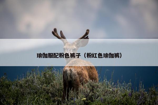 瑜伽服配粉色裤子（粉红色瑜伽裤）