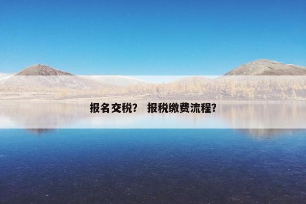 报名交税？ 报税缴费流程？