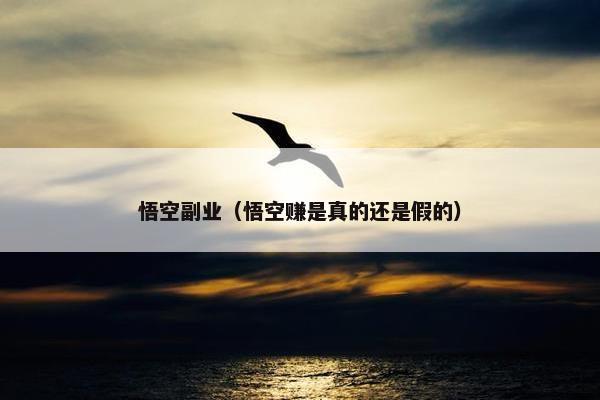 悟空副业（悟空赚是真的还是假的）