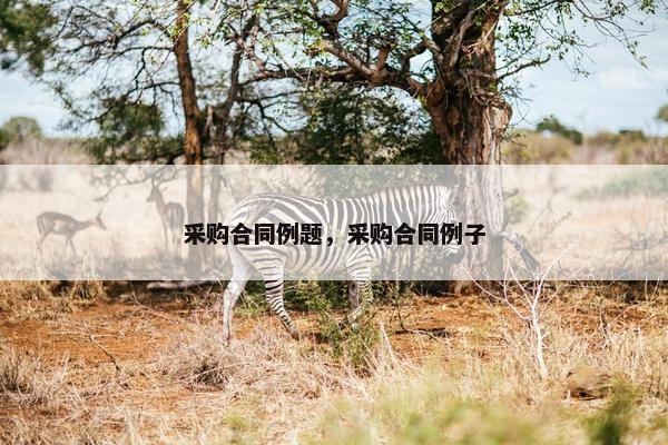 采购合同例题，采购合同例子
