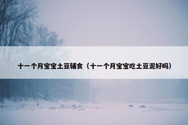 十一个月宝宝土豆辅食（十一个月宝宝吃土豆泥好吗）