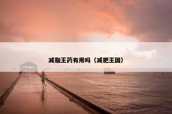 减脂王药有用吗（减肥王国）