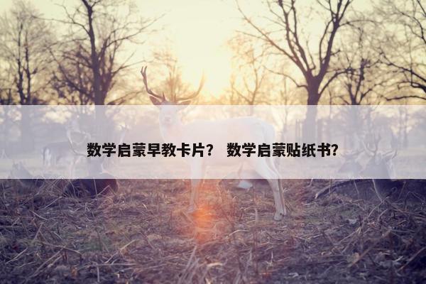 数学启蒙早教卡片？ 数学启蒙贴纸书？