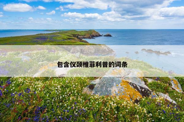 包含仪颈椎菲利普的词条