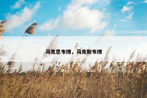马克思韦博，马克斯韦博