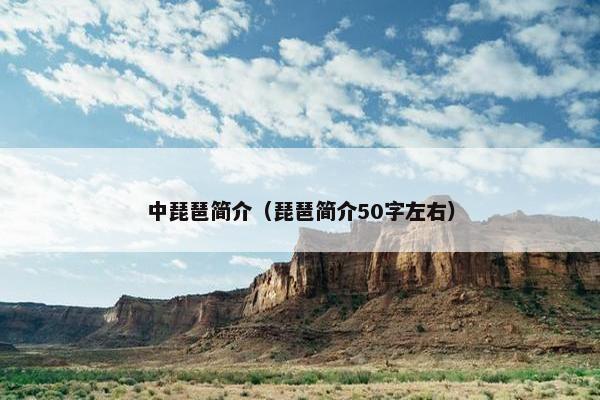 中琵琶简介（琵琶简介50字左右）