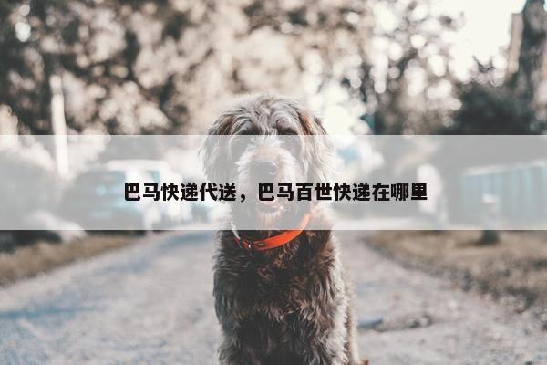 巴马快递代送，巴马百世快递在哪里