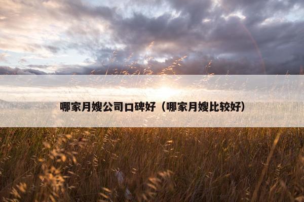 哪家月嫂公司口碑好（哪家月嫂比较好）