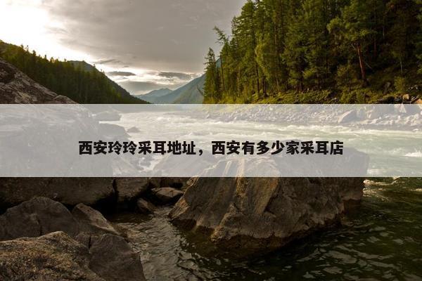 西安玲玲采耳地址，西安有多少家采耳店