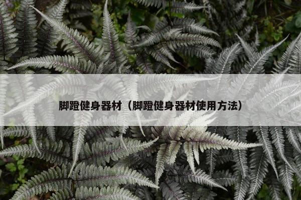 脚蹬健身器材（脚蹬健身器材使用方法）