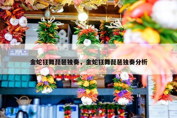 金蛇狂舞琵琶独奏，金蛇狂舞琵琶独奏分析