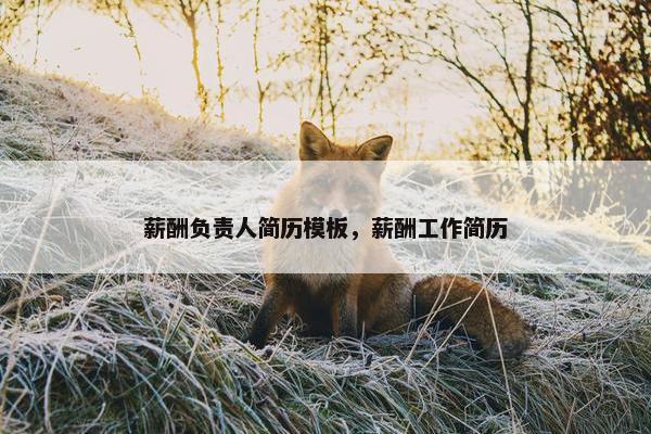 薪酬负责人简历模板，薪酬工作简历