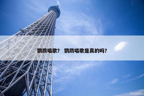 鹦鹉唱歌？ 鹦鹉唱歌是真的吗？