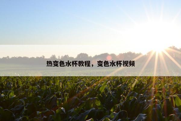 热变色水杯教程，变色水杯视频