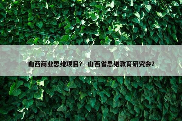 山西商业思维项目？ 山西省思维教育研究会？
