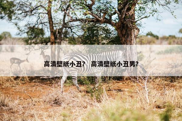 高清壁纸小丑？ 高清壁纸小丑男？