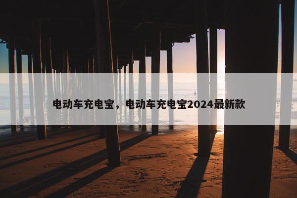 电动车充电宝，电动车充电宝2024最新款