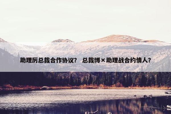 助理厉总裁合作协议？ 总裁博×助理战合约情人？