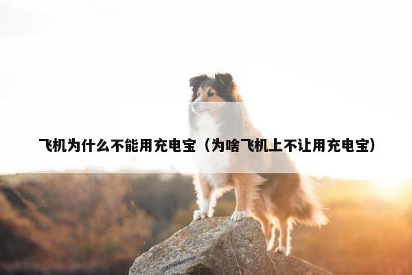 飞机为什么不能用充电宝（为啥飞机上不让用充电宝）