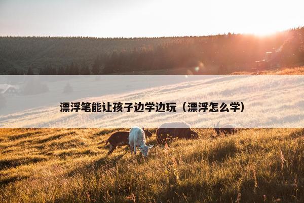 漂浮笔能让孩子边学边玩（漂浮怎么学）