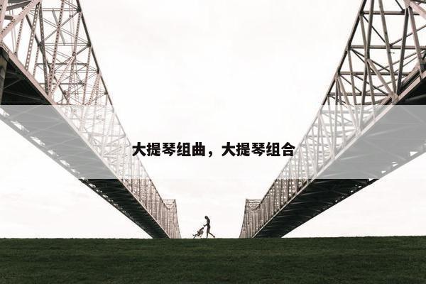 大提琴组曲，大提琴组合