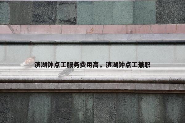 滨湖钟点工服务费用高，滨湖钟点工兼职