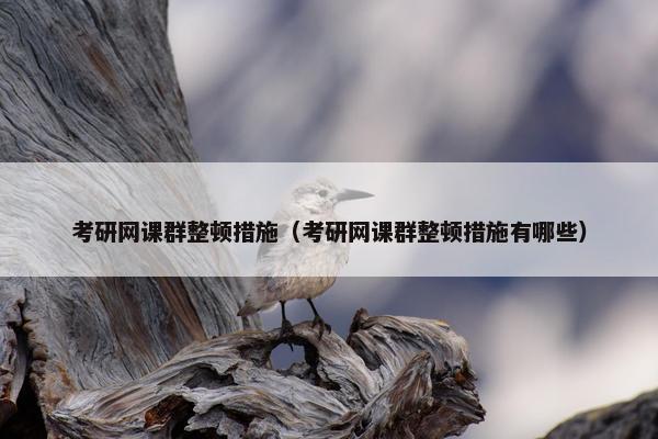 考研网课群整顿措施（考研网课群整顿措施有哪些）