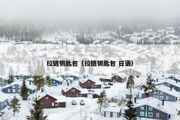 拉链钥匙包（拉链钥匙包 日语）