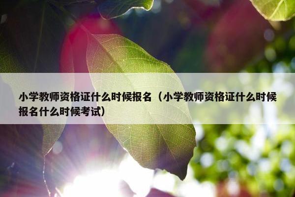 小学教师资格证什么时候报名（小学教师资格证什么时候报名什么时候考试）