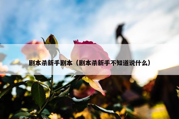 剧本杀新手剧本（剧本杀新手不知道说什么）