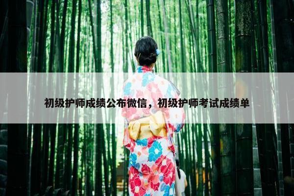 初级护师成绩公布微信，初级护师考试成绩单
