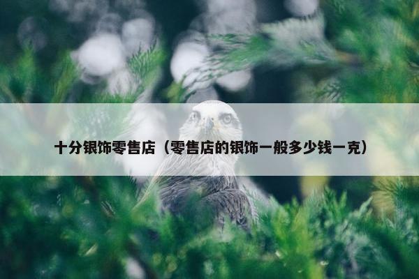 十分银饰零售店（零售店的银饰一般多少钱一克）