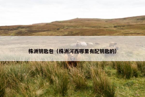 株洲钥匙包（株洲河西哪里有配钥匙的）