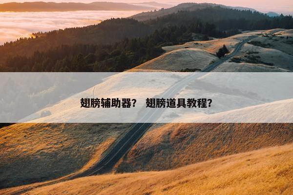 翅膀辅助器？ 翅膀道具教程？