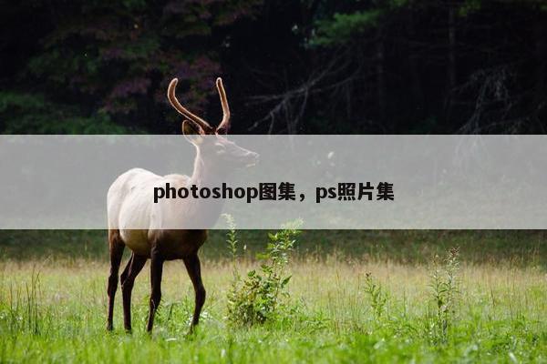 photoshop图集，ps照片集