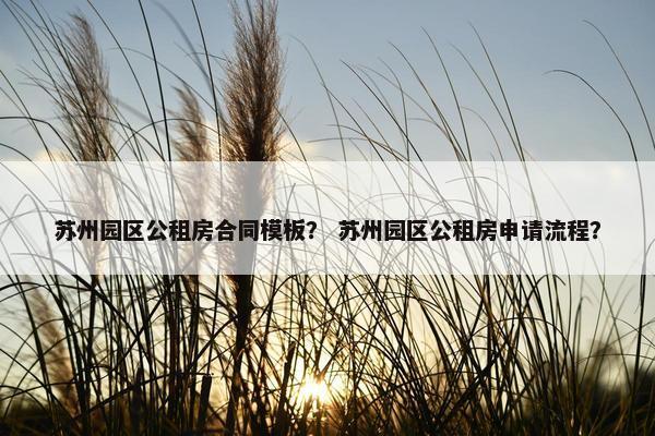 苏州园区公租房合同模板？ 苏州园区公租房申请流程？