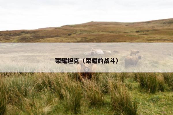 荣耀坦克（荣耀的战斗）