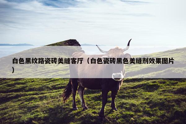 白色黑纹路瓷砖美缝客厅（白色瓷砖黑色美缝剂效果图片）